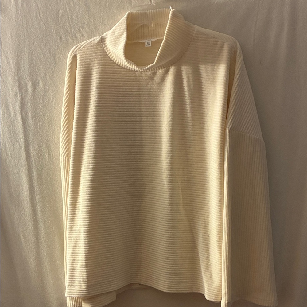 Time and Tru Ribbed Turtleneck Sweater